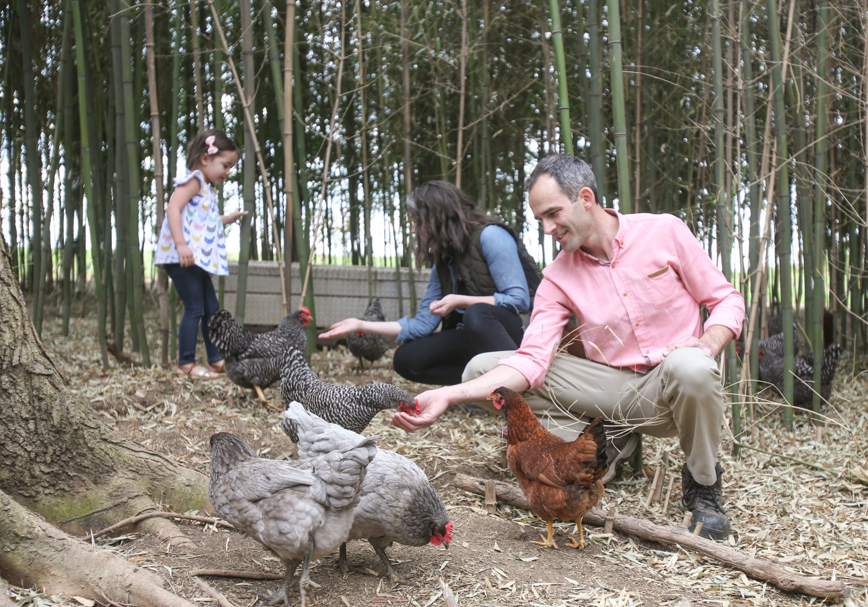 chicken02.JPG